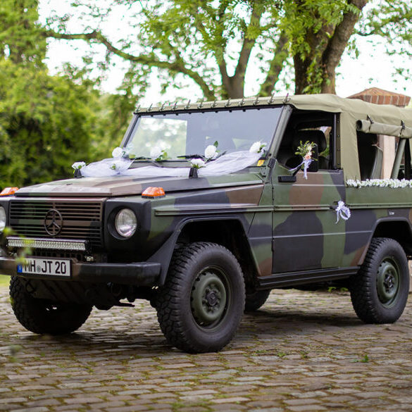 mercedes-g-klasse-wolf-1024